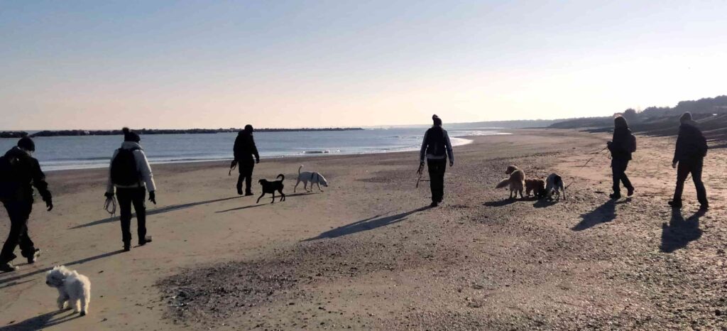 Passeggiate con il cane