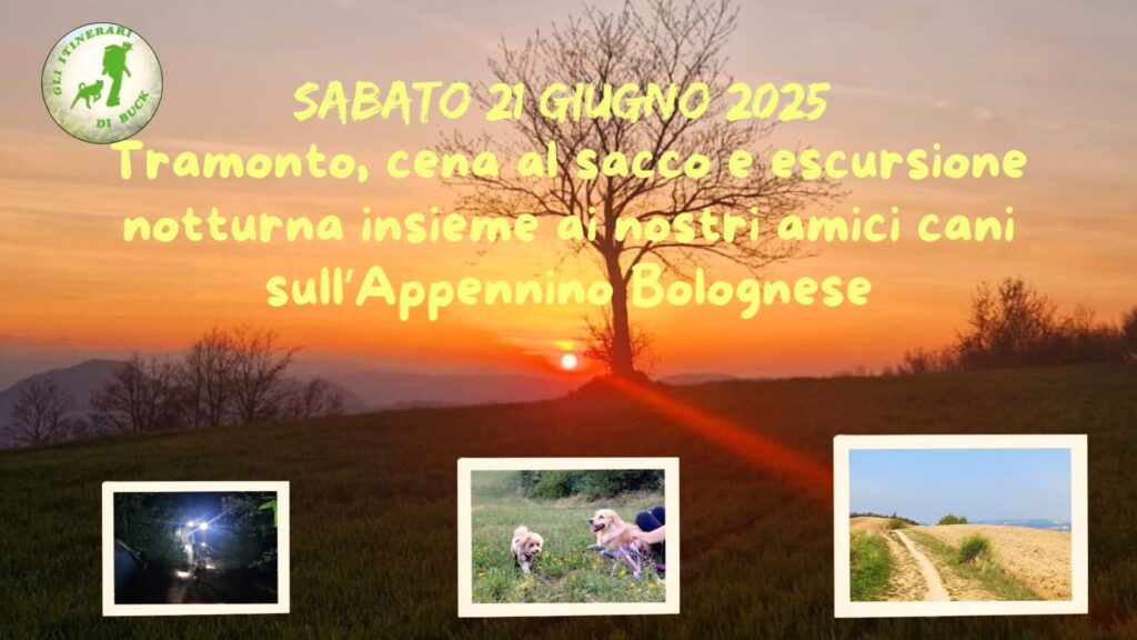 Escursione notturna con i cani sull'Appennino Bolognese