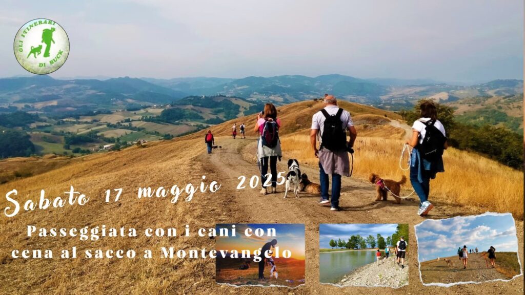 Passeggiata con i cani maggio 2025 a Monte Vangelo, a Castellarano